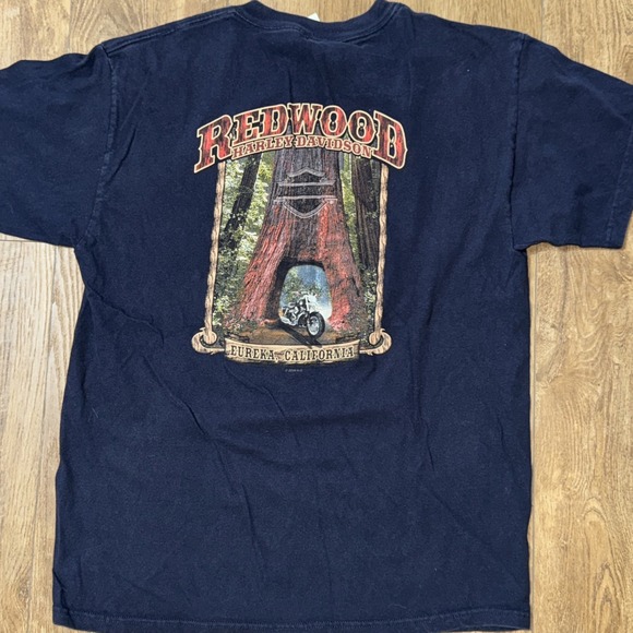 Vintage harley davidson shirt ride the lost coast Us 101 - Picture 4 of 5